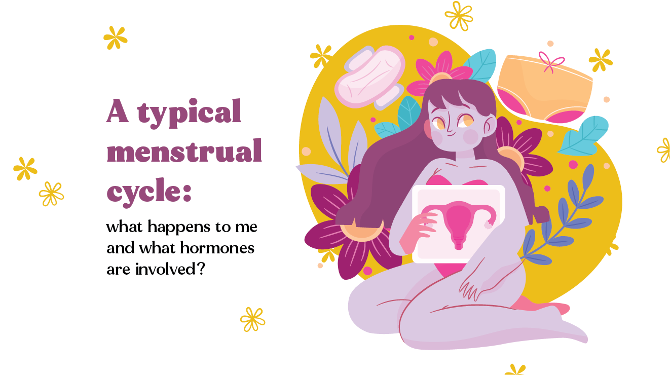 A Typical Menstrual Cycle What Happens To Me And What Hormones Are In