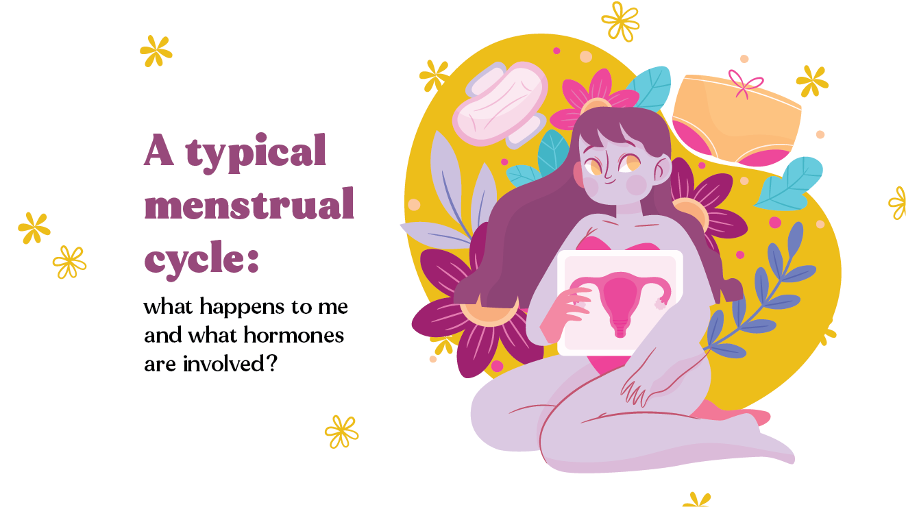 A typical menstrual cycle: what happens to me and what hormones are involved?